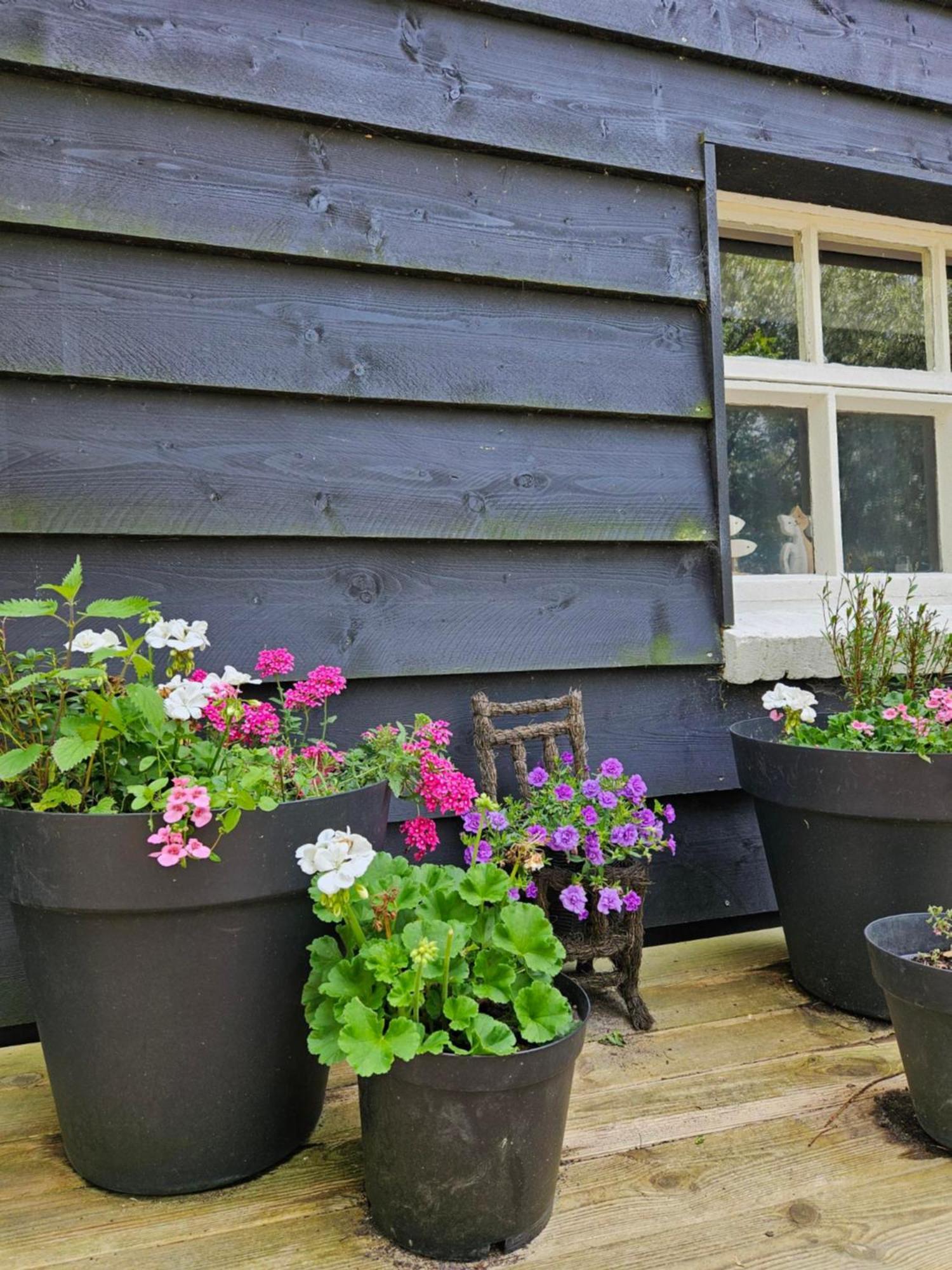 Bed & Breakfast De Zeeuwsche Hoeve